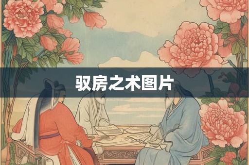 驭房之术图片