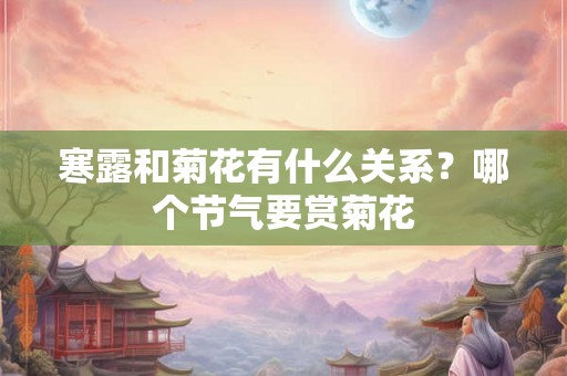 寒露和菊花有什么关系？哪个节气要赏菊花