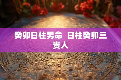 癸卯日柱男命  日柱癸卯三贵人