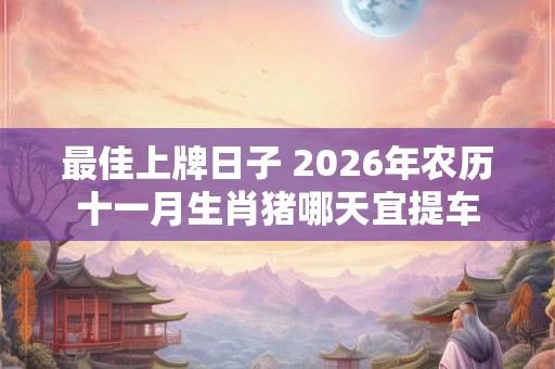 最佳上牌日子 2026年农历十一月生肖猪哪天宜提车