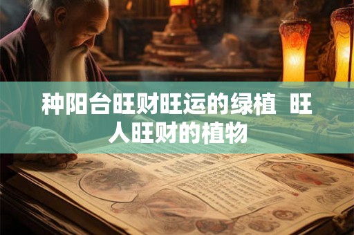 种阳台旺财旺运的绿植  旺人旺财的植物