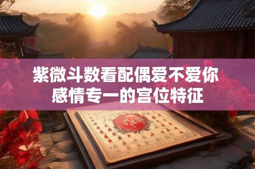 紫微斗数看配偶爱不爱你 感情专一的宫位特征 紫微斗数看配偶爱不爱你 感情专一的宫位特征