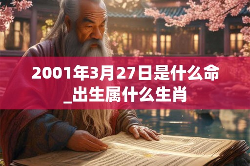 2001年3月27日是什么命_出生属什么生肖