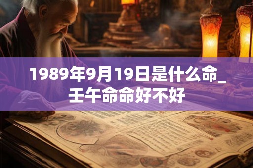 1989年9月19日是什么命_壬午命命好不好