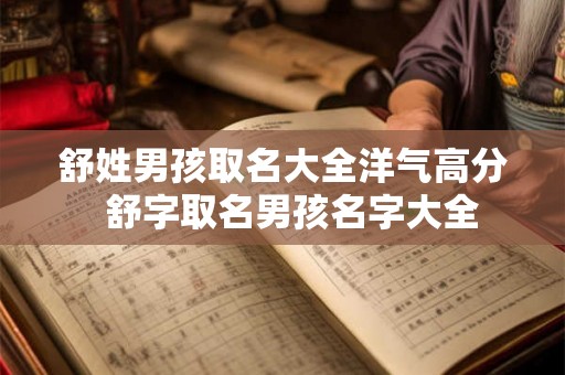 舒姓男孩取名大全洋气高分  舒字取名男孩名字大全