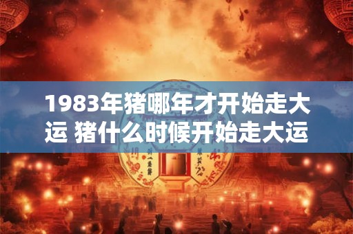 1983年猪哪年才开始走大运 猪什么时候开始走大运 1983年猪哪年才开始走大运 猪什么时候开始走大运