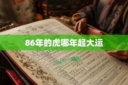 86年的虎哪年起大运