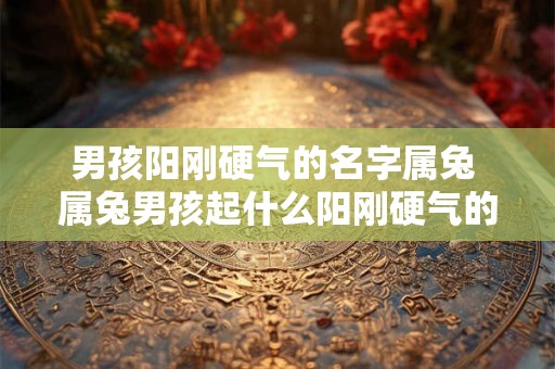 男孩阳刚硬气的名字属兔 属兔男孩起什么阳刚硬气的名字 男孩阳刚硬气的名字属兔 属兔男孩起什么阳刚硬气的名字