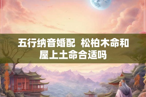 五行纳音婚配  松柏木命和屋上土命合适吗