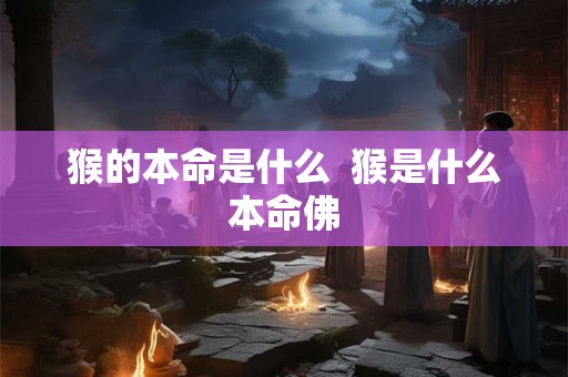 猴的本命是什么  猴是什么本命佛
