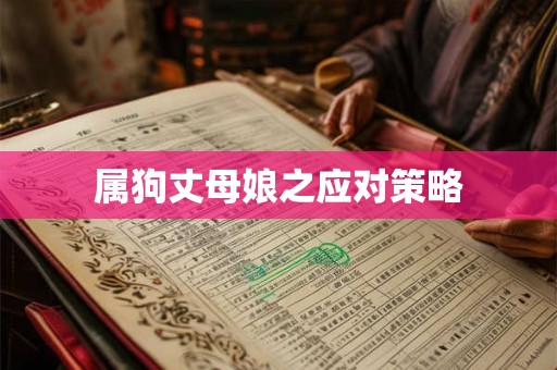 属狗丈母娘之应对策略