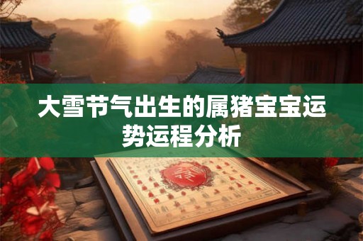 大雪节气出生的属猪宝宝运势运程分析 大雪节气出生的属猪宝宝运势运程分析