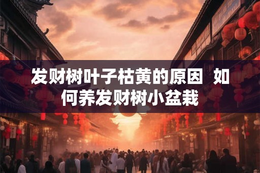 发财树叶子枯黄的原因  如何养发财树小盆栽
