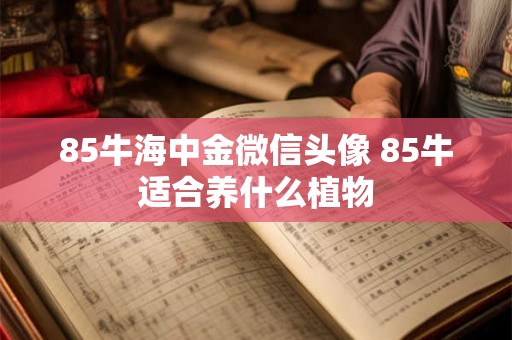 85牛海中金微信头像 85牛适合养什么植物