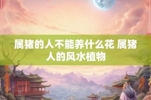 属猪的人不能养什么花 属猪人的风水植物 属猪的人不能养什么花 属猪人的风水植物