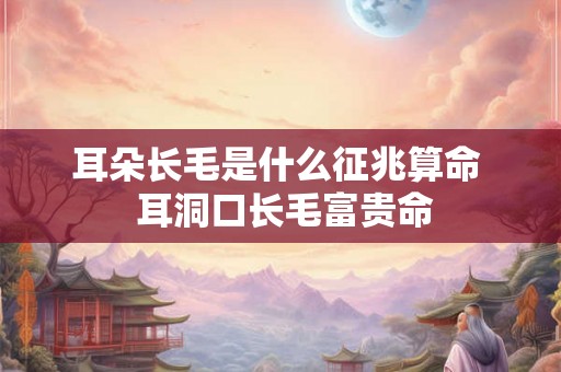 耳朵长毛是什么征兆算命  耳洞口长毛富贵命