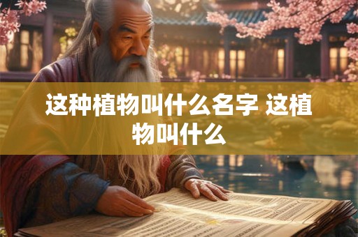 这种植物叫什么名字 这植物叫什么