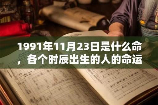1991年11月23日是什么命，各个时辰出生的人的命运