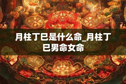 月柱丁巳是什么命_月柱丁巳男命女命 月柱丁巳是什么命_月柱丁巳男命女命
