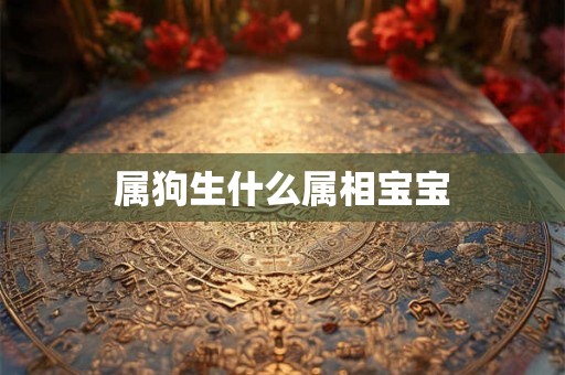 属狗生什么属相宝宝