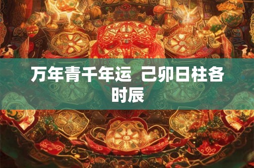 万年青千年运  己卯日柱各时辰