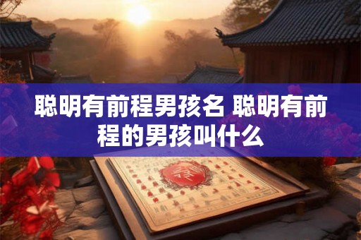 聪明有前程男孩名 聪明有前程的男孩叫什么