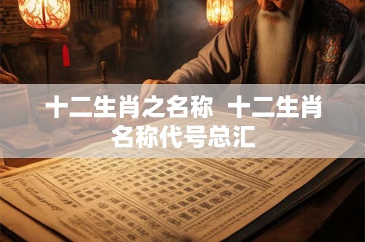 十二生肖之名称 十二生肖名称代号总汇 十二生肖之名称 十二生肖名称代号总汇