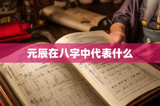 元辰在八字中代表什么