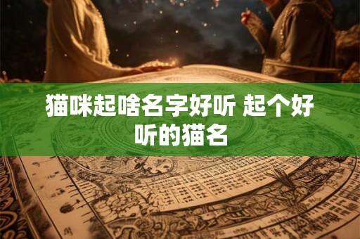 猫咪起啥名字好听 起个好听的猫名