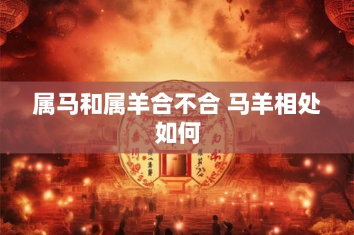 属马和属羊合不合 马羊相处如何