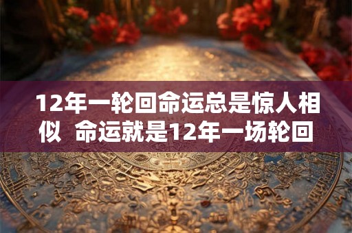 12年一轮回命运总是惊人相似  命运就是12年一场轮回