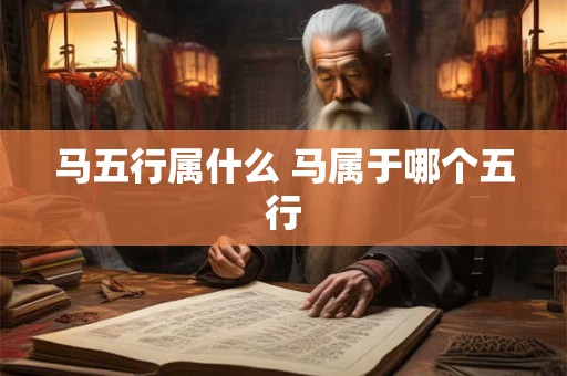 马五行属什么 马属于哪个五行 马五行属什么 马属于哪个五行