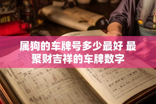 属狗的车牌号多少最好 最聚财吉祥的车牌数字