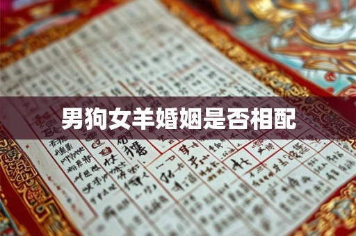 男狗女羊婚姻是否相配