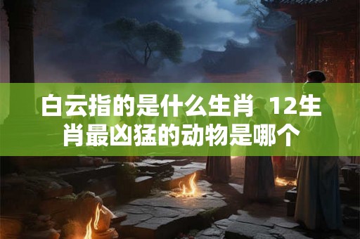 白云指的是什么生肖  12生肖最凶猛的动物是哪个