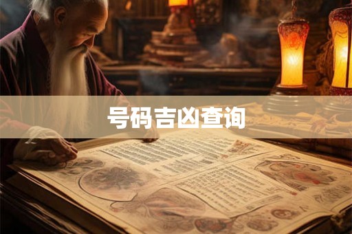号码吉凶查询