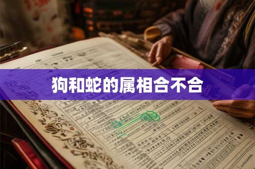 狗和蛇的属相合不合