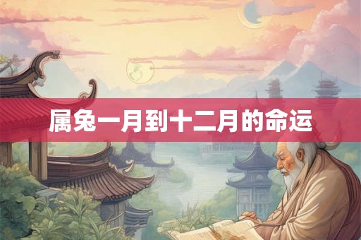 属兔一月到十二月的命运
