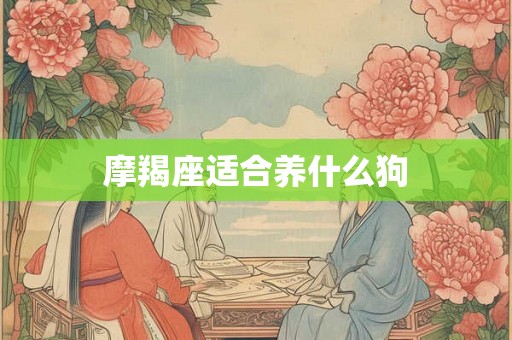 摩羯座适合养什么狗