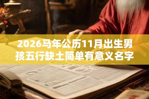 2026马年公历11月出生男孩五行缺土简单有意义名字