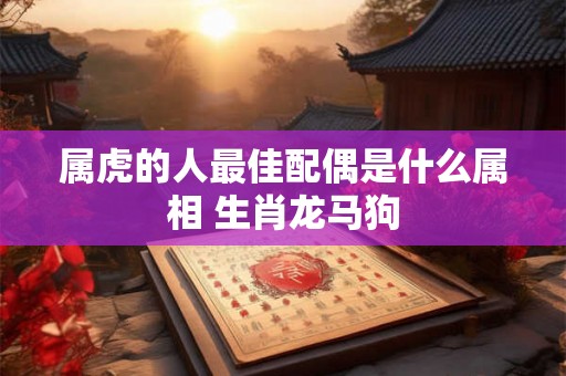 属虎的人最佳配偶是什么属相 生肖龙马狗