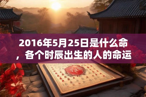 2016年5月25日是什么命,各个时辰出生的人的命运 2016年5月25日是什么命,各个时辰出生的人的命运