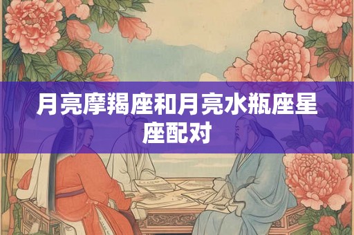 月亮摩羯座和月亮水瓶座星座配对