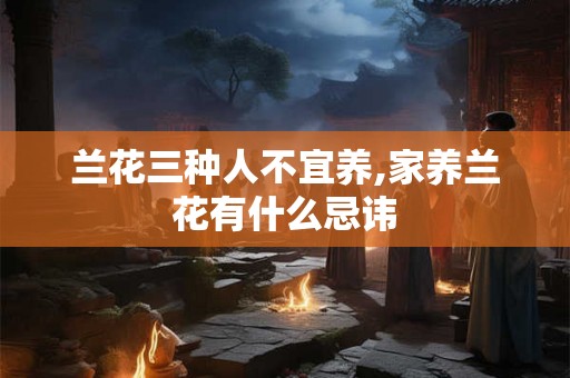 兰花三种人不宜养,家养兰花有什么忌讳