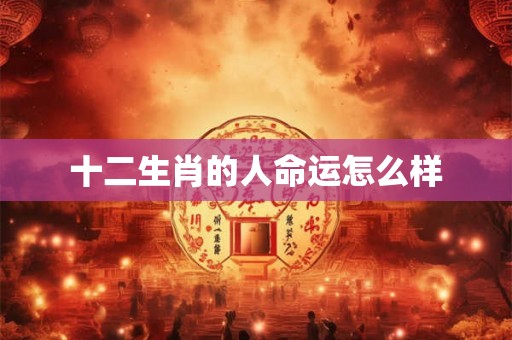 十二生肖的人命运怎么样