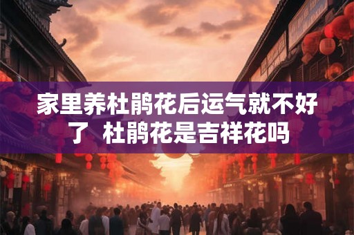 家里养杜鹃花后运气就不好了  杜鹃花是吉祥花吗