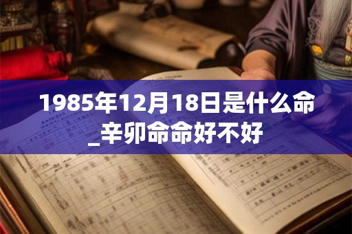 1985年12月18日是什么命_辛卯命命好不好