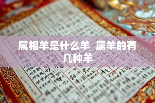 属相羊是什么羊  属羊的有几种羊