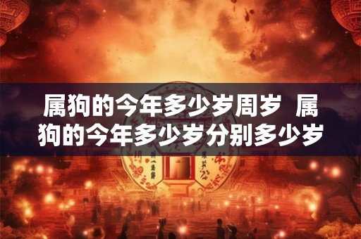 属狗的今年多少岁周岁 属狗的今年多少岁分别多少岁 属狗的今年多少岁周岁 属狗的今年多少岁分别多少岁