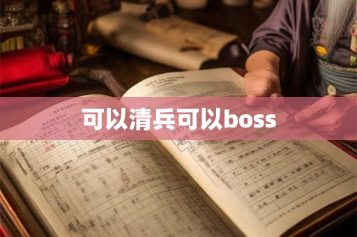 可以清兵可以boss